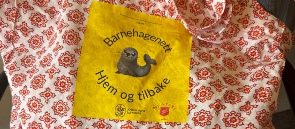 Fargerike bærenett